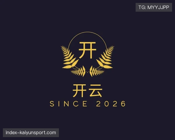 解读开云世界杯